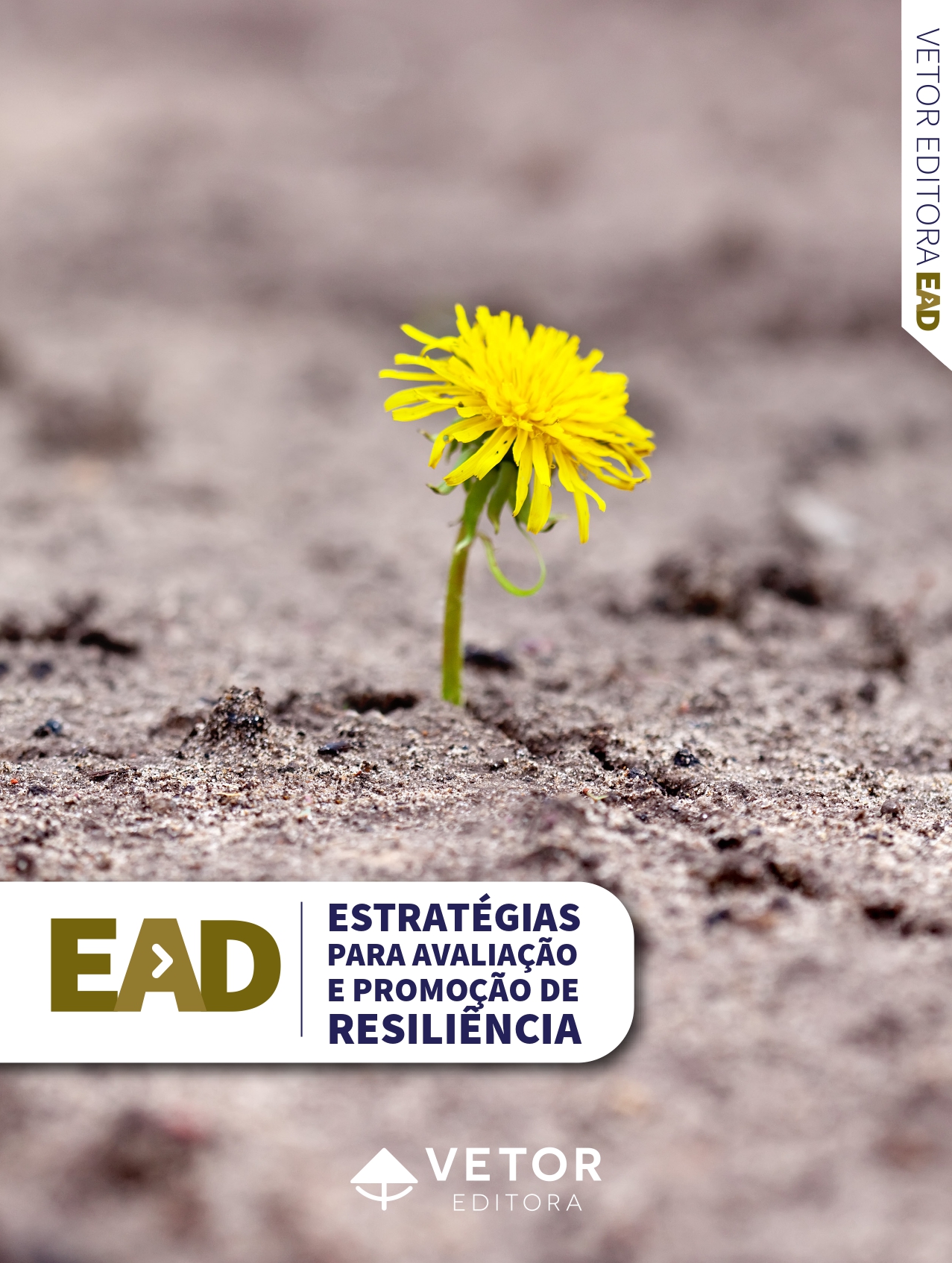 Estratégias para avaliação e promoção de resiliência